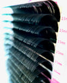 Ellipse Classic Matte Lash Extensions