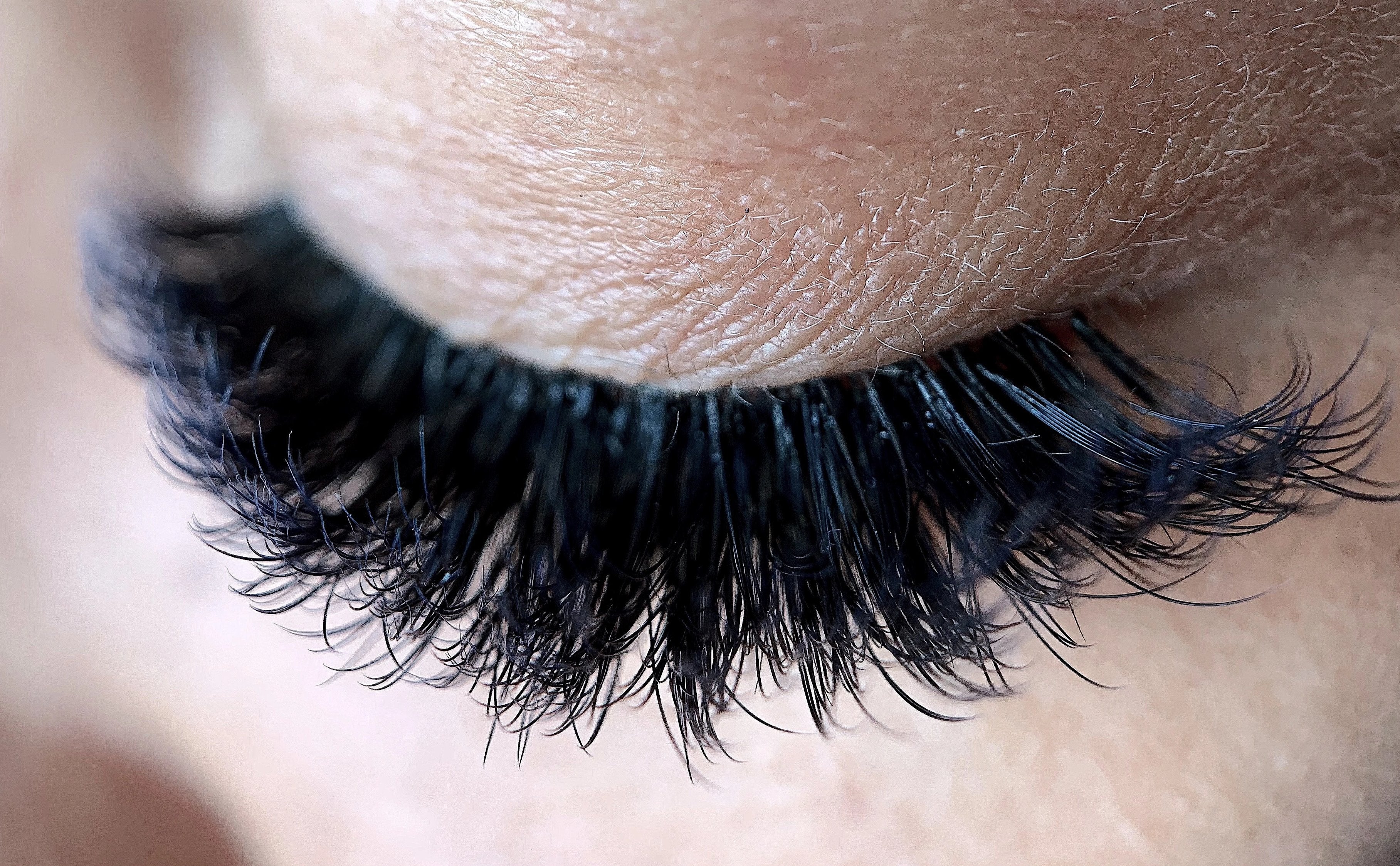thought lash ２枚 0.07 Duality Volume Lash Extensions – Lash Philosophy Pro Supplies