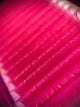 Maven Color Volume Premium Lash Extensions