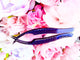 #11 Curved Boot Tweezer Originals Collection