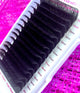 Majestic Volume Premium Lash Extensions